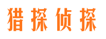 双流市场调查